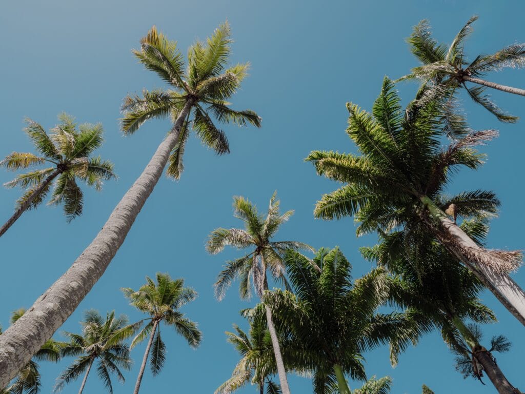 Djerba Tunesien Strandurlaub