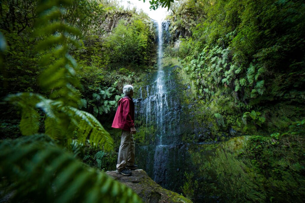 Madeira Levada Wandern