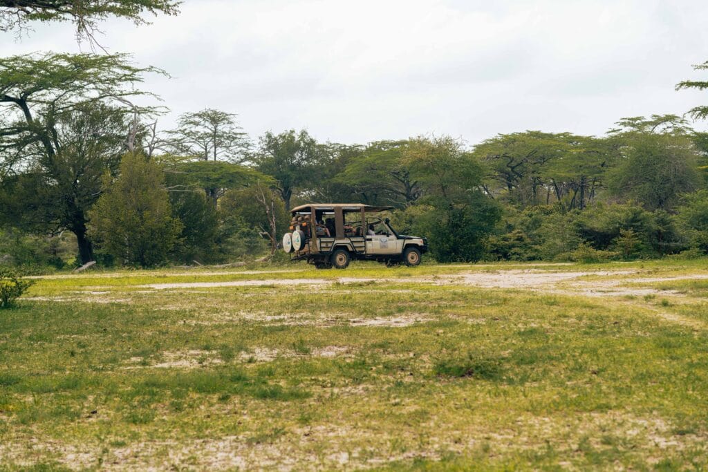 Tansania Safari und Sansibar