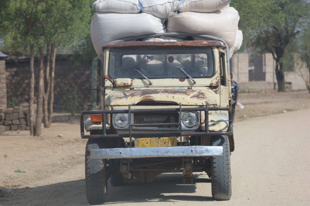Tansania Safari und Sansibar