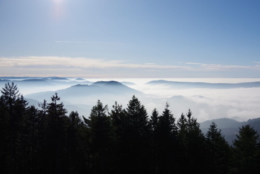 Wellnesshotel Schwarzwald