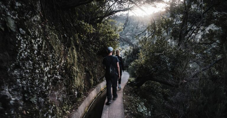 Madeira Levada Wandern